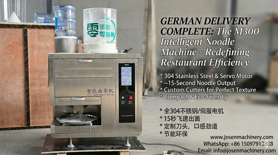 Global Delivery: Smart Stainless Steel Noodle Machine to Germany