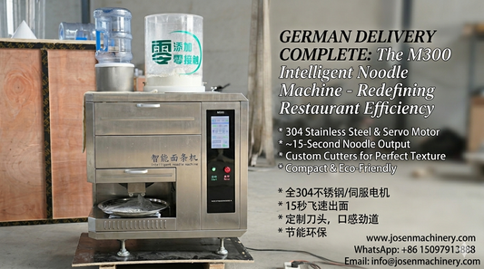 Global Delivery: Smart Stainless Steel Noodle Machine to Germany